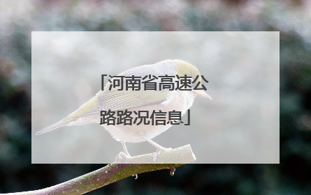 河南省高速公路路况信息