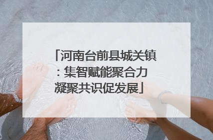 河南台前县城关镇：集智赋能聚合力 凝聚共识促发展