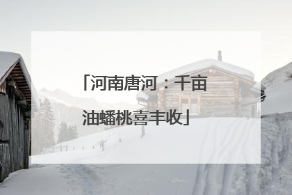 河南唐河：千亩油蟠桃喜丰收