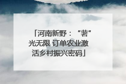 河南新野：“薯”光无限 订单农业激活乡村振兴密码