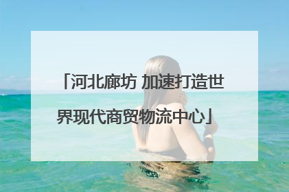 河北廊坊 加速打造世界现代商贸物流中心
