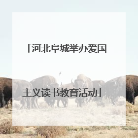 河北阜城举办爱国主义读书教育活动