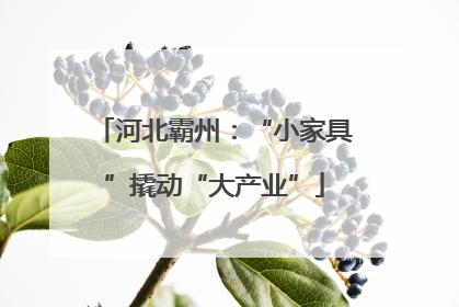 河北霸州：“小家具”撬动“大产业”