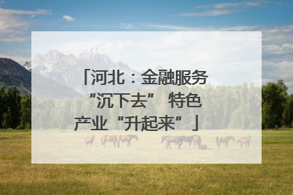 河北：金融服务“沉下去” 特色产业“升起来”