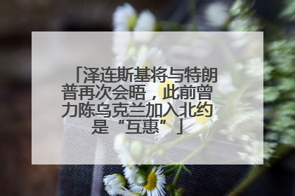泽连斯基将与特朗普再次会晤，此前曾力陈乌克兰加入北约是“互惠”