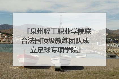 泉州轻工职业学院联合法国顶级教练团队成立足球专项学院