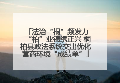 法治“桐”频发力 “柏”业锦绣正兴 桐柏县政法系统交出优化营商环境“成绩单”