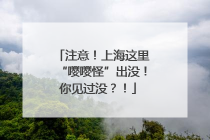 注意！上海这里“嘤嘤怪”出没！你见过没？！