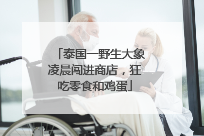 泰国一野生大象凌晨闯进商店，狂吃零食和鸡蛋