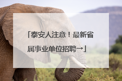 泰安人注意！最新省属事业单位招聘→