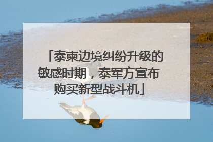 泰柬边境纠纷升级的敏感时期，泰军方宣布购买新型战斗机