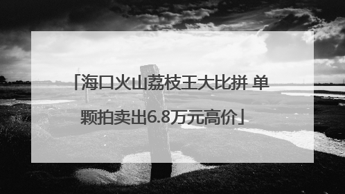 海口火山荔枝王大比拼 单颗拍卖出6.8万元高价