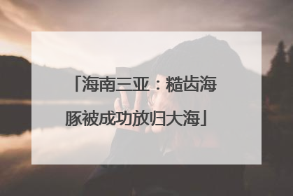 海南三亚：糙齿海豚被成功放归大海