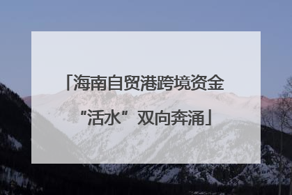 海南自贸港跨境资金“活水”双向奔涌