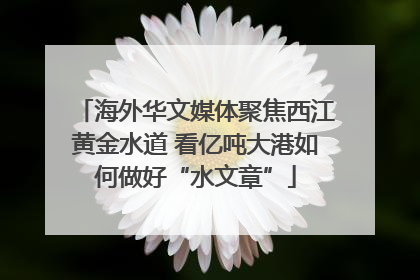 海外华文媒体聚焦西江黄金水道 看亿吨大港如何做好“水文章”