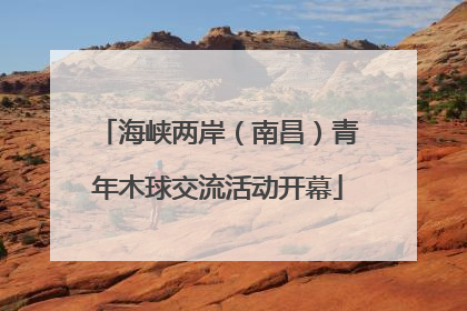 海峡两岸（南昌）青年木球交流活动开幕
