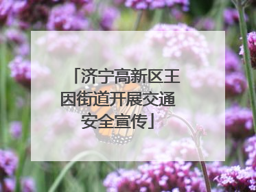济宁高新区王因街道开展交通安全宣传
