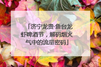济宁龙贵·鱼台龙虾啤酒节，解码烟火气中的流量密码