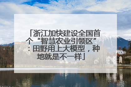浙江加快建设全国首个“智慧农业引领区”：田野用上大模型，种地就是不一样