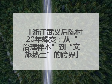 浙江武义后陈村20年蝶变：从“治理样本”到“文旅热土”的跨界
