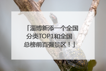 淄博新添一个全国分类TOP1和全国总榜前百强景区！