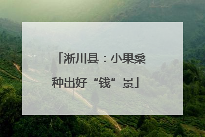 淅川县：小果桑种出好“钱”景