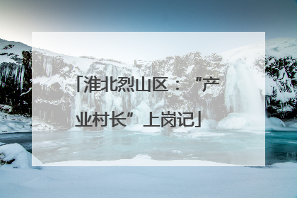 淮北烈山区：“产业村长”上岗记