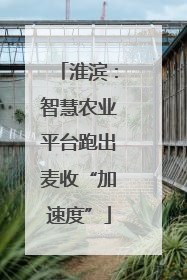 淮滨：智慧农业平台跑出麦收“加速度”