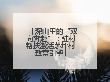 深山里的“双向奔赴”：驻村帮扶激活茅坪村致富引擎