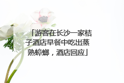 游客在长沙一家桔子酒店早餐中吃出蒸熟蟑螂，酒店回应