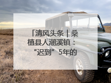清风头条｜桑植县人潮溪镇：“迟到”5年的生态林补偿金