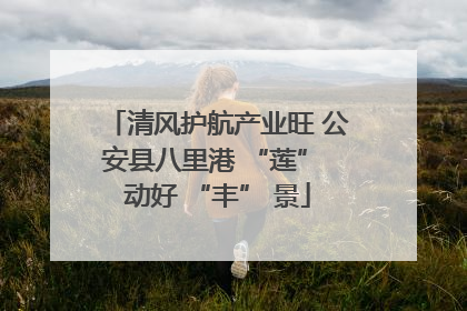 清风护航产业旺 公安县八里港 “莲” 动好 “丰” 景