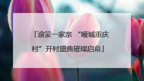 渝蒙一家亲 “暖城重庆村”开村盛典璀璨启幕