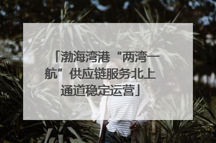渤海湾港“两湾一航”供应链服务北上通道稳定运营