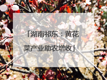 湖南祁东：黄花菜产业助农增收