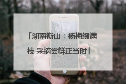 湖南衡山：杨梅缀满枝 采摘尝鲜正当时