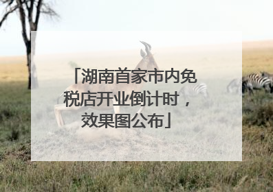 湖南首家市内免税店开业倒计时，效果图公布