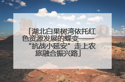 湖北白果树湾依托红色资源发展的蝶变——“抗战小延安”走上农旅融合振兴路
