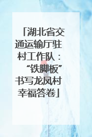 湖北省交通运输厅驻村工作队：“铁脚板”书写龙凤村幸福答卷