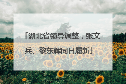 湖北省领导调整，张文兵、黎东辉同日履新