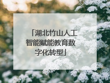 湖北竹山人工智能赋能教育数字化转型