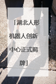 湖北人形机器人创新中心正式揭牌