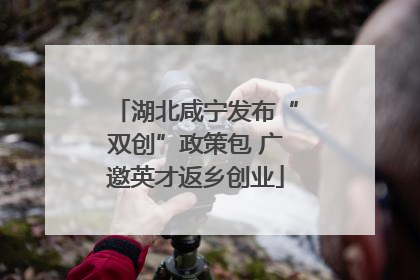 湖北咸宁发布“双创”政策包 广邀英才返乡创业
