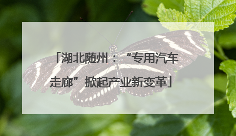 湖北随州：“专用汽车走廊”掀起产业新变革