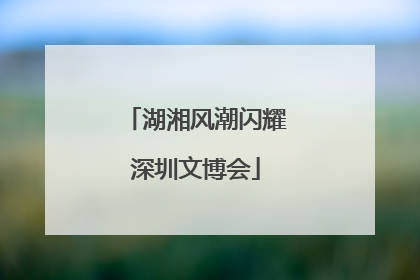 湖湘风潮闪耀深圳文博会