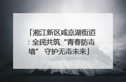 湘江新区咸嘉湖街道：全民共筑“青春防毒墙” 守护无毒未来