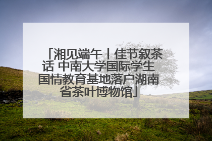 湘见端午丨佳节叙茶话 中南大学国际学生国情教育基地落户湖南省茶叶博物馆