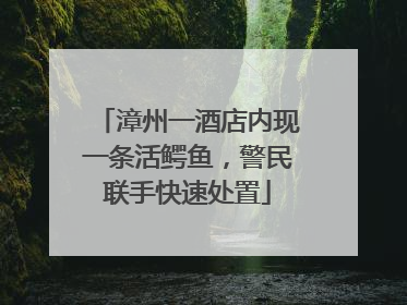 漳州一酒店内现一条活鳄鱼，警民联手快速处置