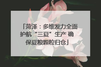 菏泽：多维发力全面护航“三夏”生产 确保夏粮颗粒归仓