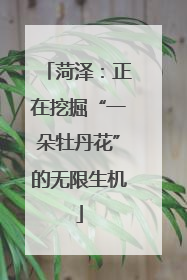 菏泽：正在挖掘“一朵牡丹花”的无限生机